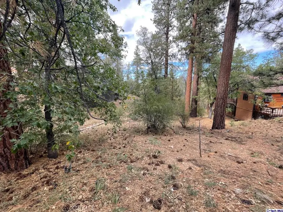 600 Travertine Road, Big Bear City, CA 92314 - Image #2