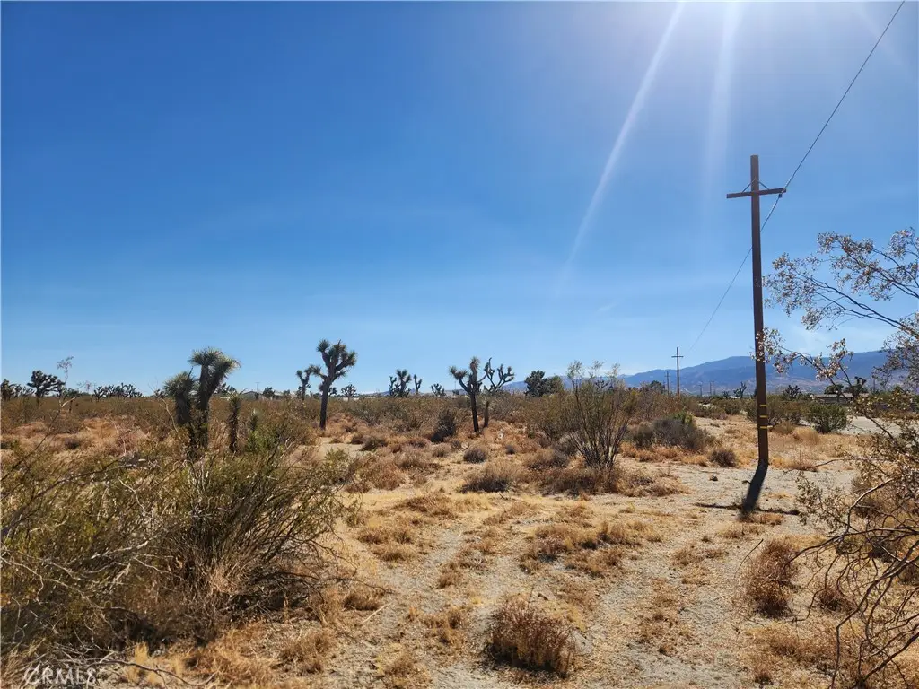 0 Colorado Road, Pinon Hills, CA 92372 - #1