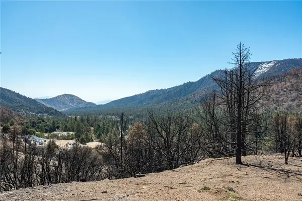 0 North Cardinal Rd, Wrightwood, CA 92397