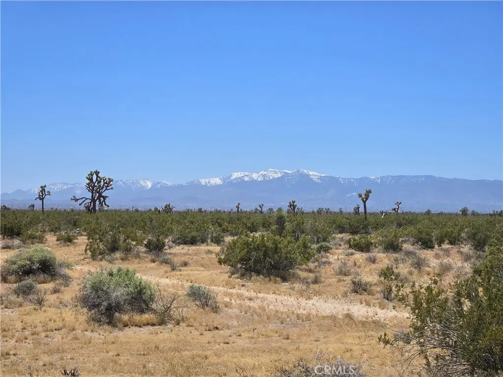 Acres Beaver Avenue, Adelanto, CA 92301 - #1
