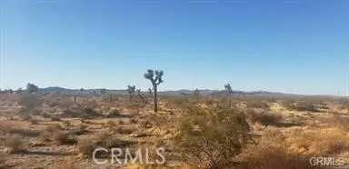 6 Near Racoon Ave Street, Adelanto, CA 92301 - Image #3