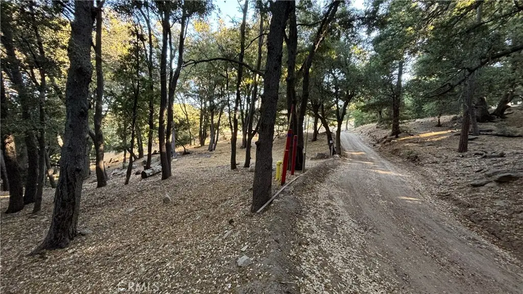 722 Mojave River Road, Cedarpines Park, CA 92322 - #1