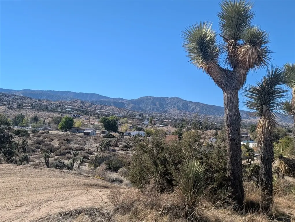 0 Malpaso Road, Phelan, CA 92371 - #1