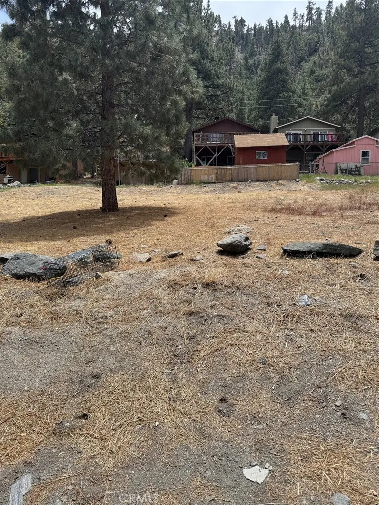 999 Buckthorn Road, Wrightwood, CA 92397 - Image #2