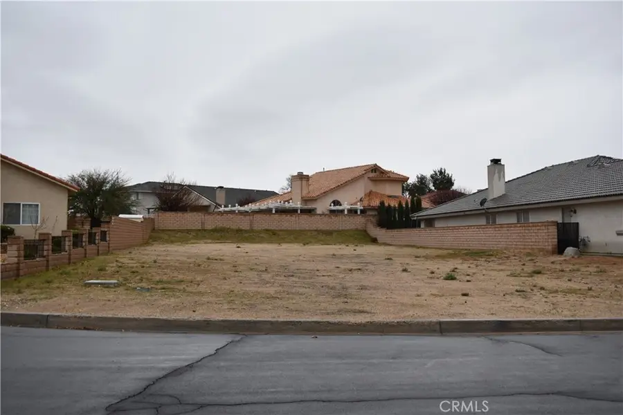 14167 Polly Court, Helendale, CA 92342 - #2