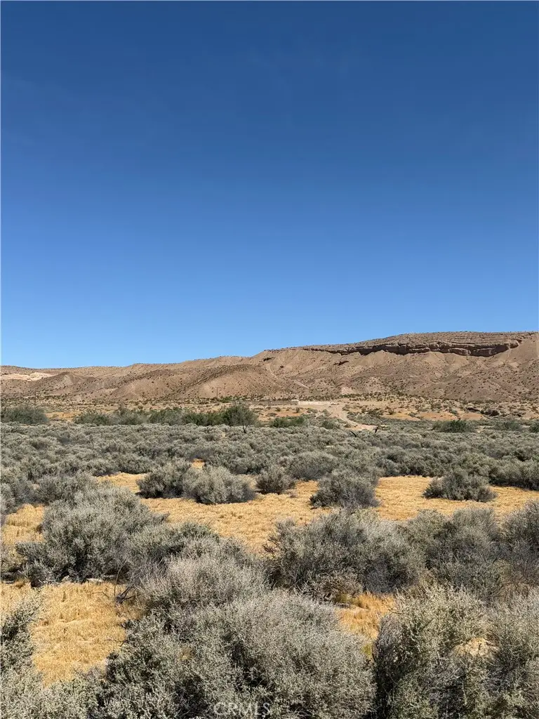 31980 Nelson, Barstow, CA 92311 - #2