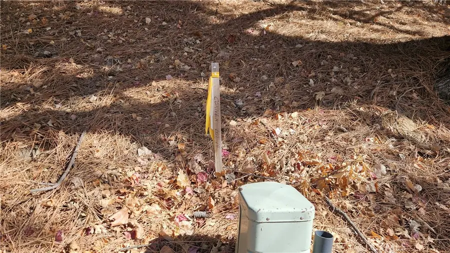 30061 Pixie Drive, Running Springs, CA 92382 - Image #2