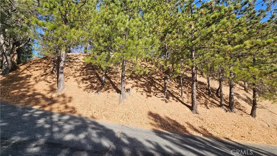 30061 Pixie Drive, Running Springs, CA 92382 - Image #3