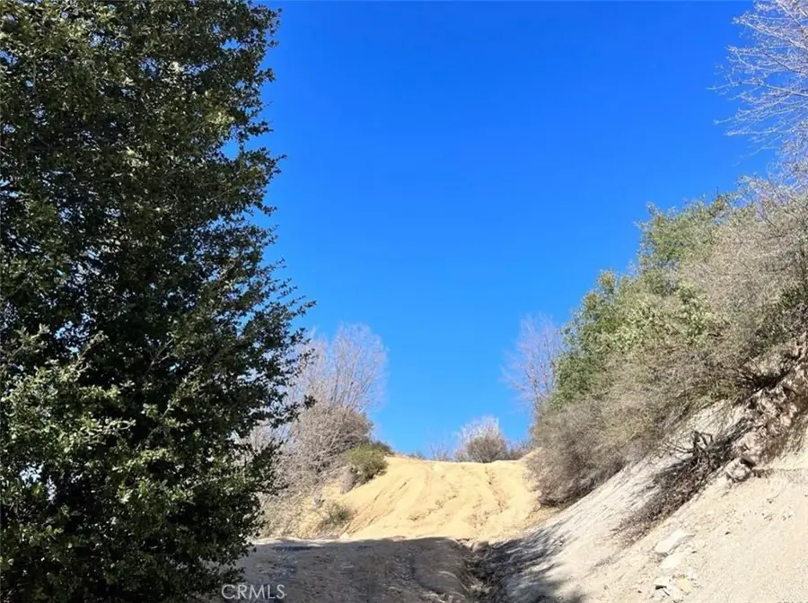 0 Coulter, Cedar Glen, CA 92321 - #3