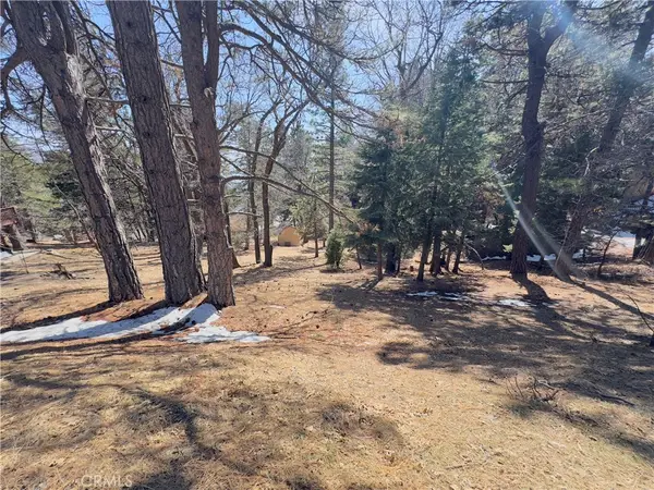 0 Ca-18, Running Springs, CA 92382