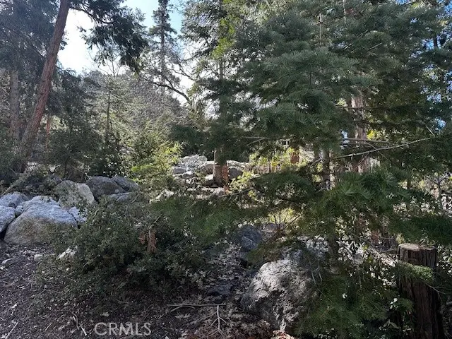 0 Fir, Forest Falls, CA 92339 - Image #2