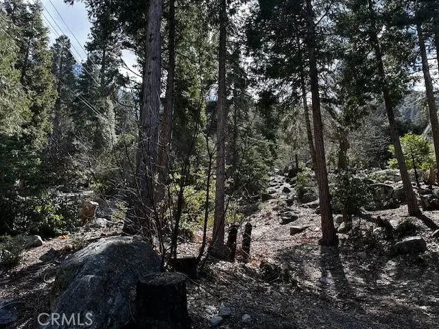 0 Fir, Forest Falls, CA 92339 - Image #3