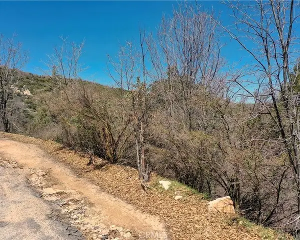 185 Acacia Road, Cedar Glen, CA 92321