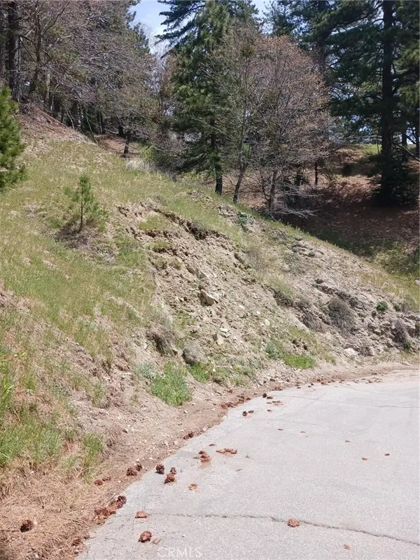 21858 Fern Canyon Road, Cedarpines Park, CA 92322