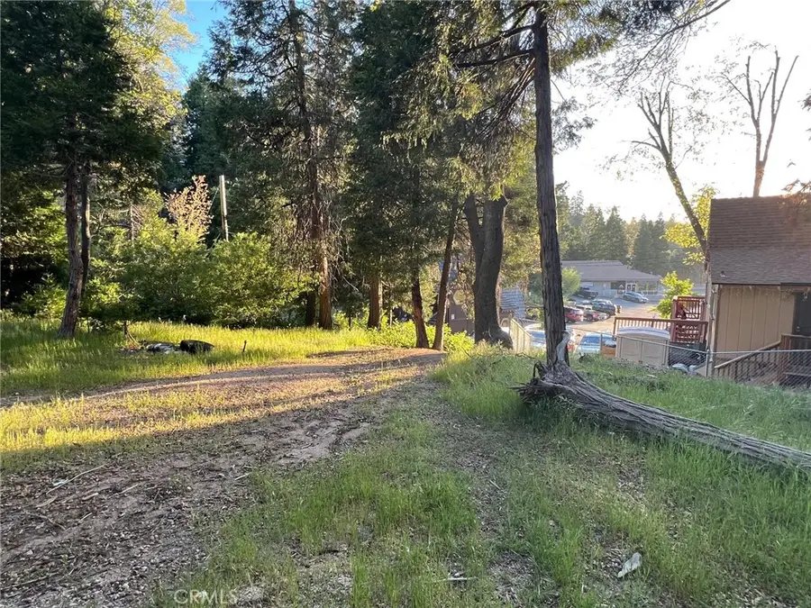 29038 Terrace, Cedar Glen, CA 92321 - Image #2