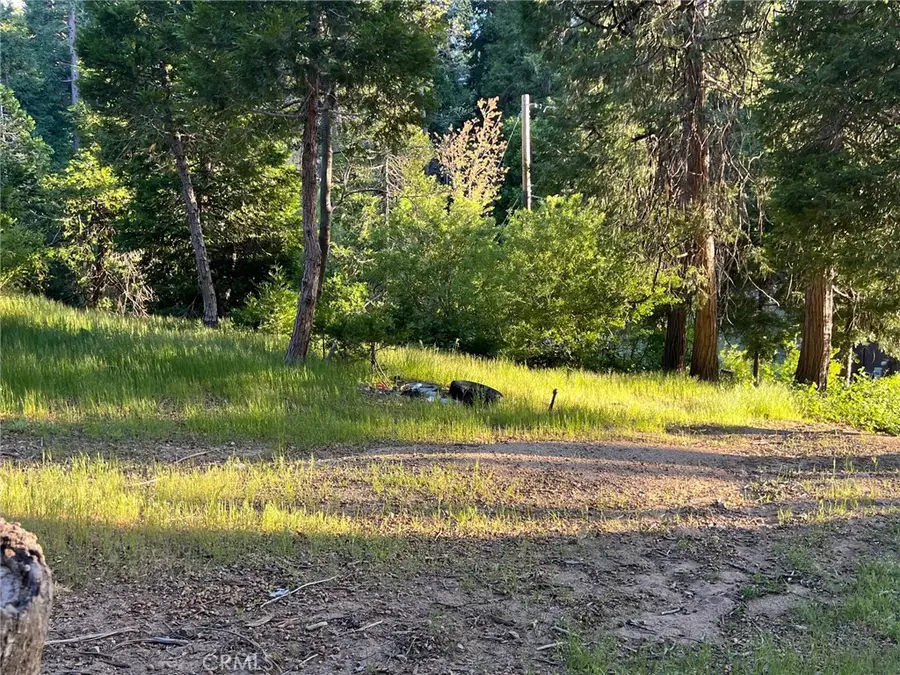 29038 Terrace, Cedar Glen, CA 92321 - Image #3