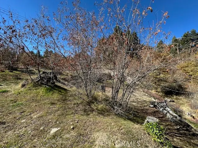 2379 Chicago Drive, Running Springs, CA 92382 - Image #3