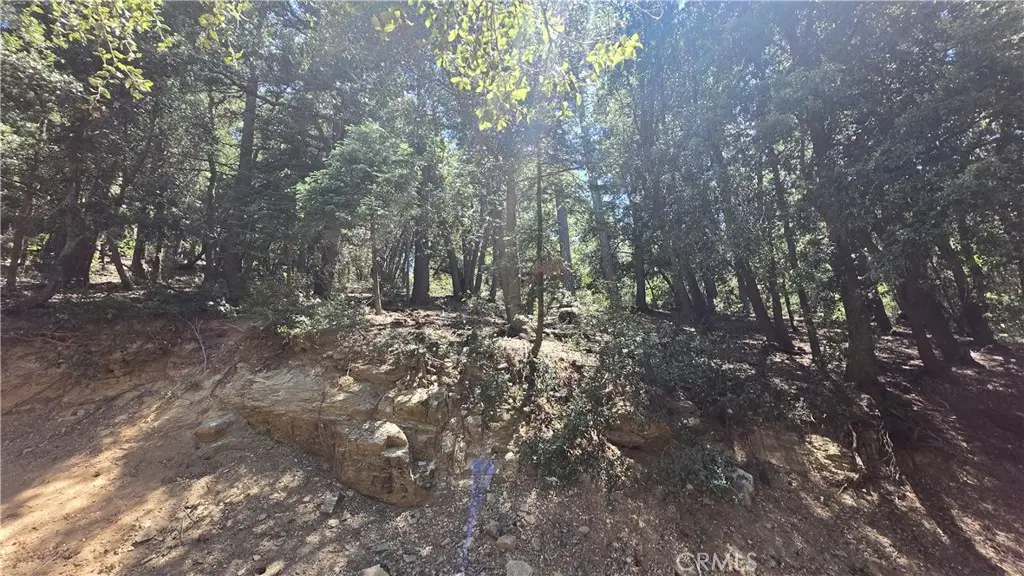 0 Mojave River Road, Cedarpines Park, CA 92322 - Image #1