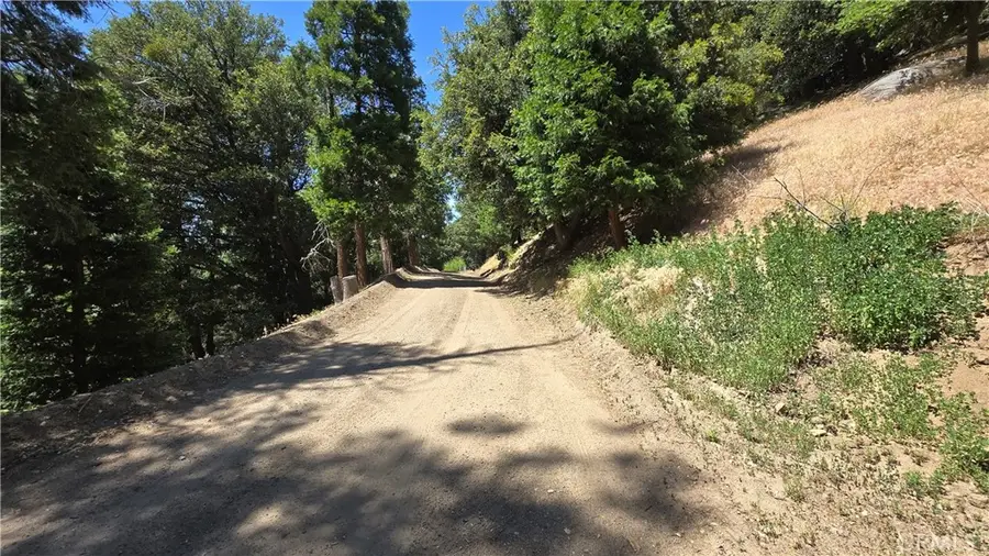 0 Mojave River Road, Cedarpines Park, CA 92322 - Image #3