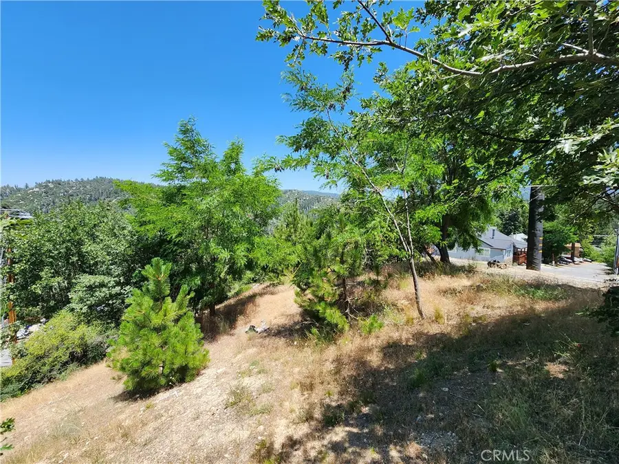 31912 Encina Way, Running Springs, CA 92382 - Image #2