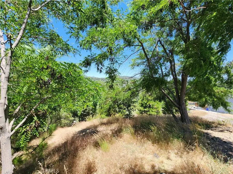 31912 Encina Way, Running Springs, CA 92382 - Image #3