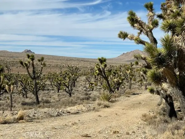 0 Street, Cima, CA 92323