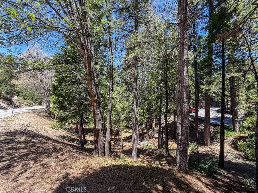 180 Grass Valley Rd. #5, Lake Arrowhead, CA 92352 - Image #3