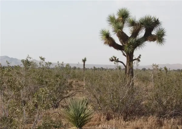 0 3129-171-06-0000 Caughlin Road, Adelanto, CA 92301