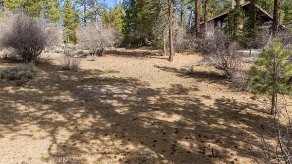 293 Catalina, Big Bear Lake, CA 92315