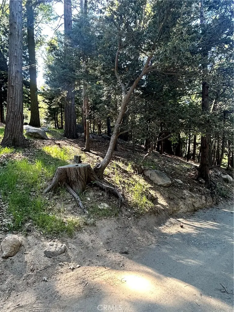 0 Forest Vw, Arrowhead, Twin Peaks, CA 92391 - #3