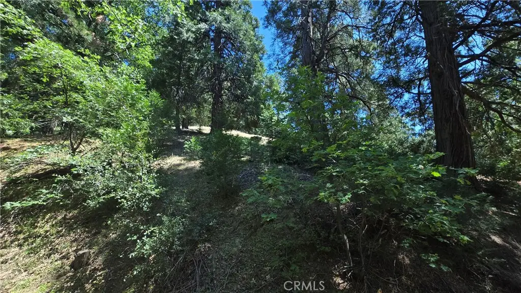22496 Mojave River Road, Cedarpines Park, CA 92322 - #1