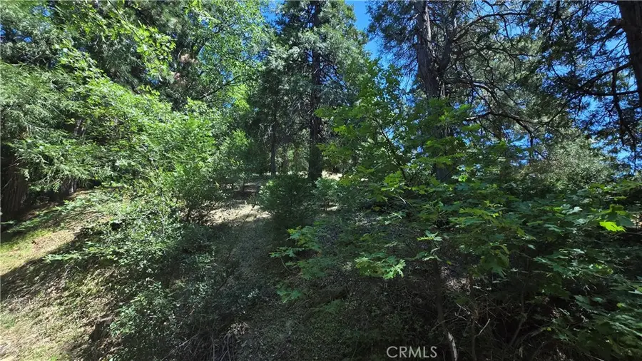 22496 Mojave River Road, Cedarpines Park, CA 92322 - #2