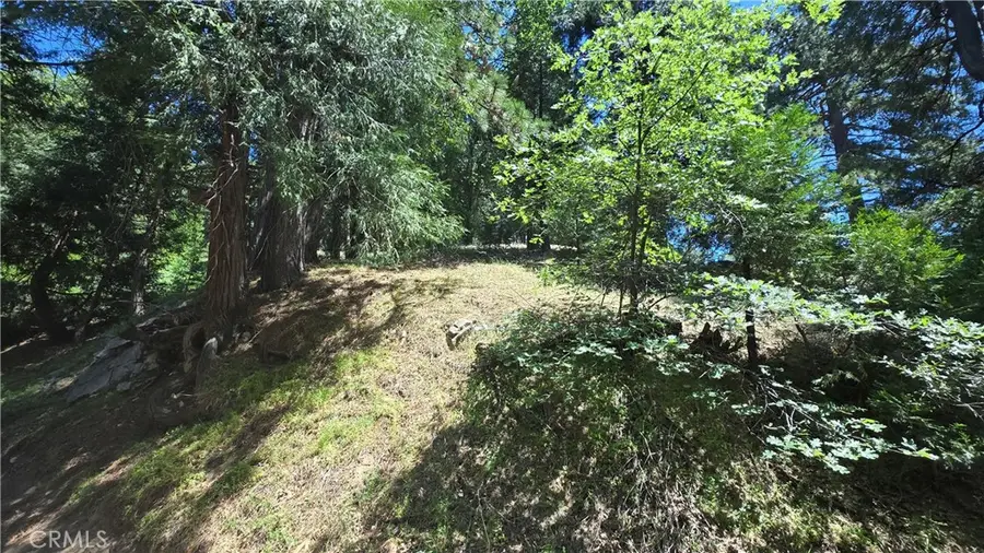 22496 Mojave River Road, Cedarpines Park, CA 92322 - #3