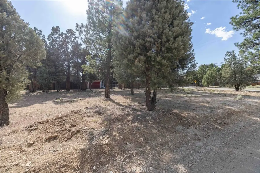 909 Ash Lane, Big Bear City, CA 92314 - #2