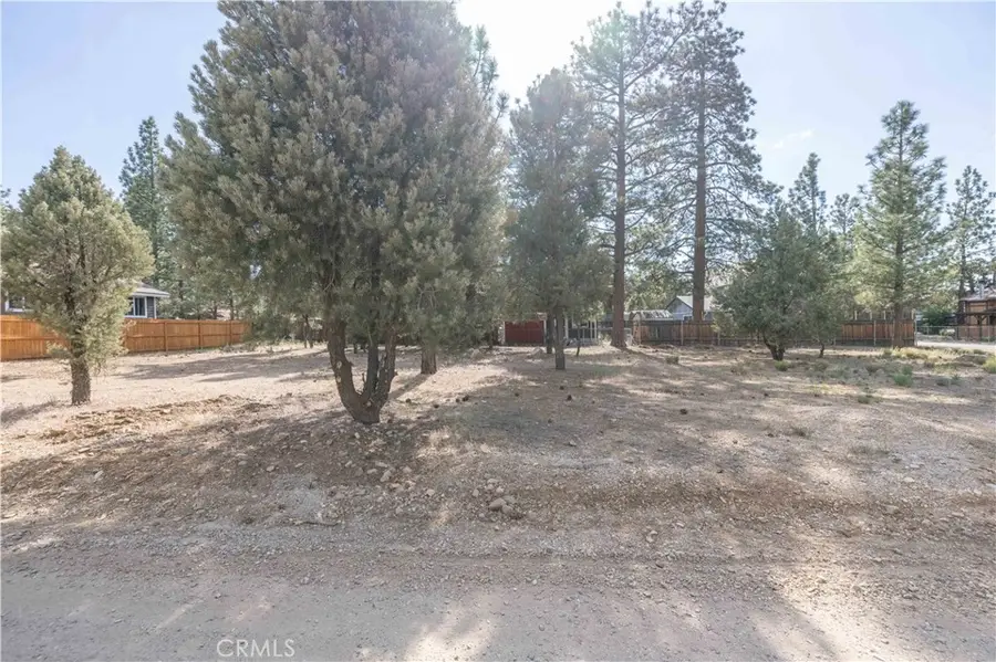 909 Ash Lane, Big Bear City, CA 92314 - #3