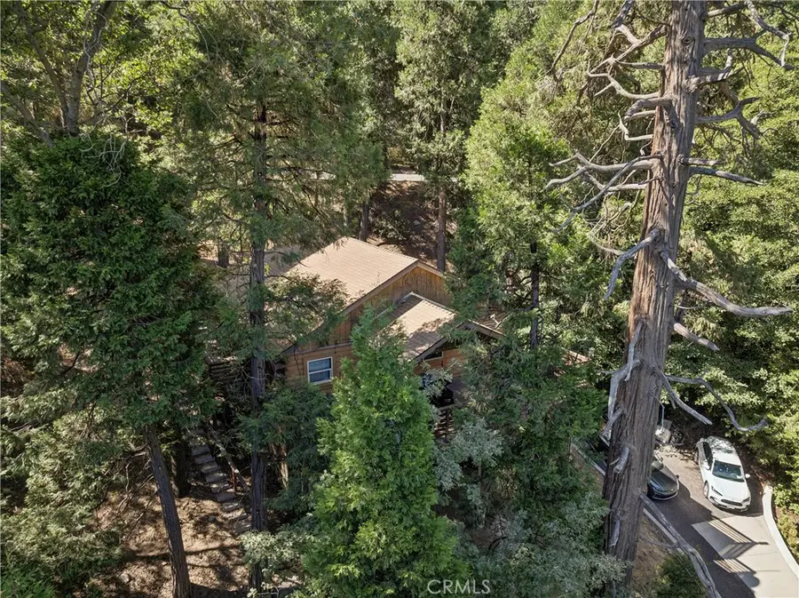 24839 Felsen Drive, Crestline, CA 92325 - #2