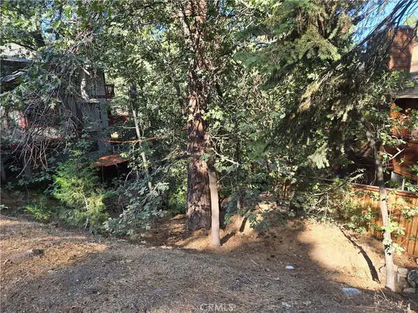 0 Secret Drive, Running Springs, CA 92382