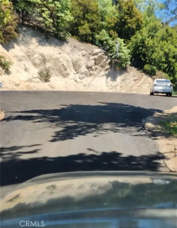 900 Lo Lane, Twin Peaks, CA 92391