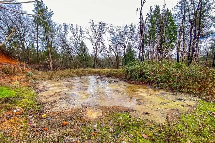 21138 Big Oak Lane, Lakehead, CA 96051 - #2