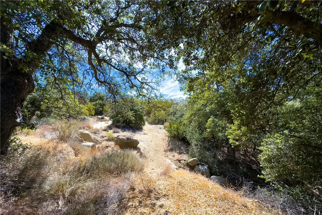 1 Old Stone Hill Road, Warner Springs, CA 92086 - #1