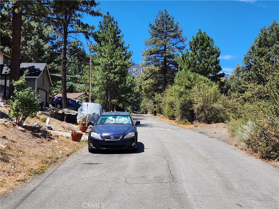 2164 Outer Hwy 2 S, Wrightwood, CA 92397 - #3