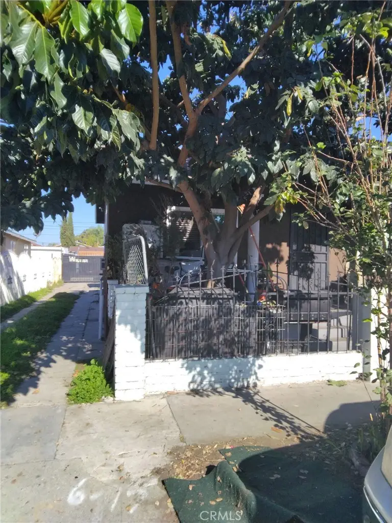 113 W 66 St, Los Angeles, CA 90003 - Image #3