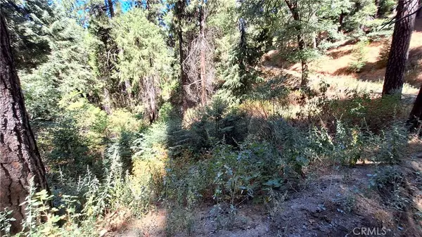 0 El Valle, Cedarpines Park, CA 92322