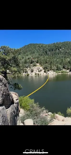 1820 Golden Rod, Big Bear City, CA 92314 - #3