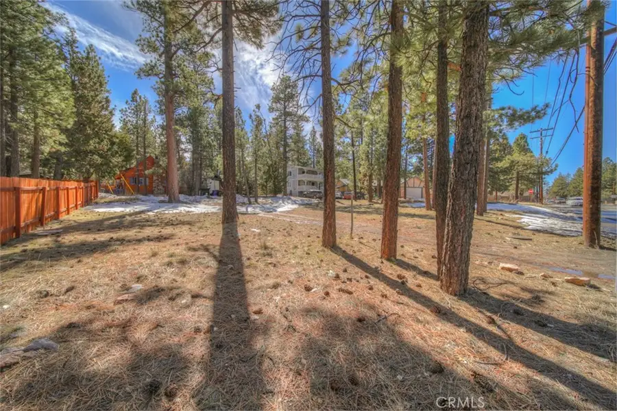 420 E Big Bear, Big Bear City, CA 92314 - #3