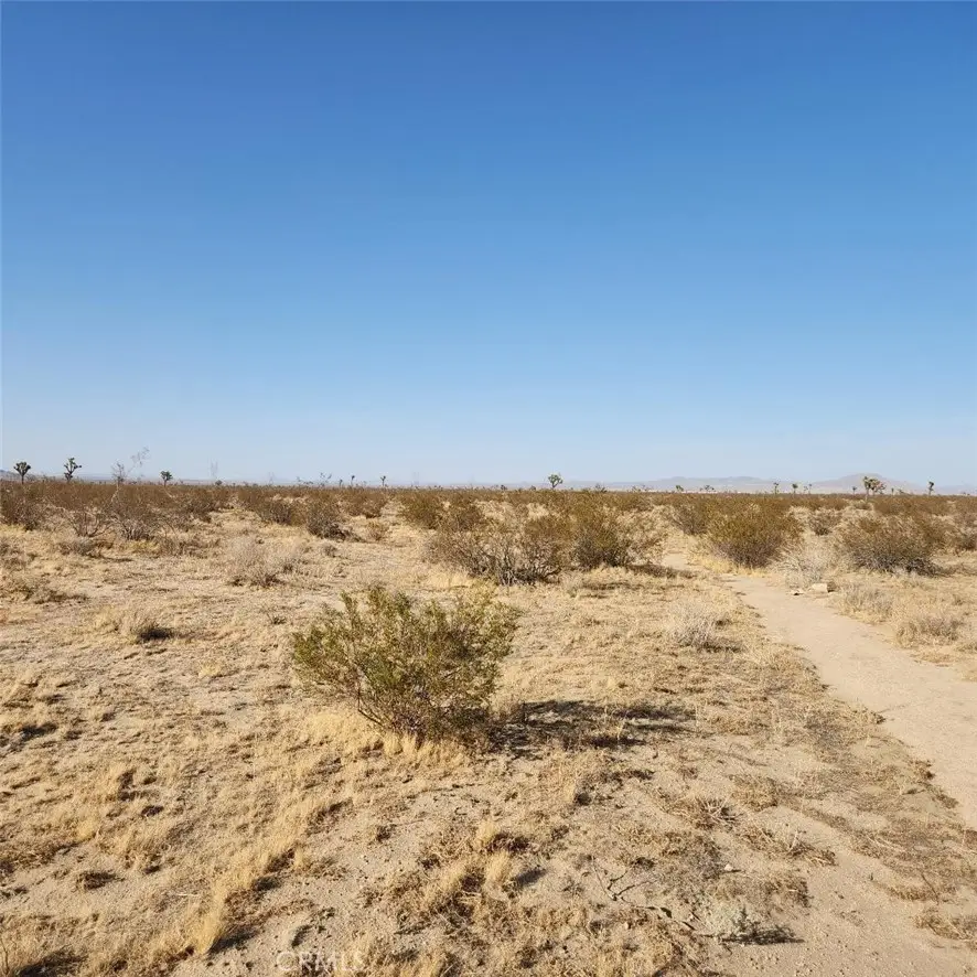 123 Wilson Ranch Road, Phelan, CA 92371 - #3