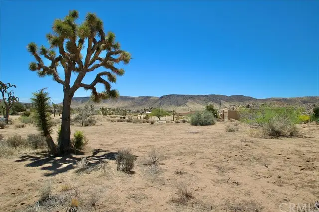 0 Contour Terrace Road, Pioneertown, CA 92268 - #2