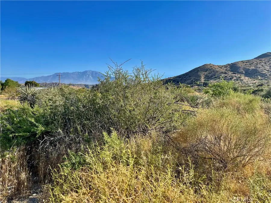 49200 Old Mill Road, Morongo Valley, CA 92256 - Image #2