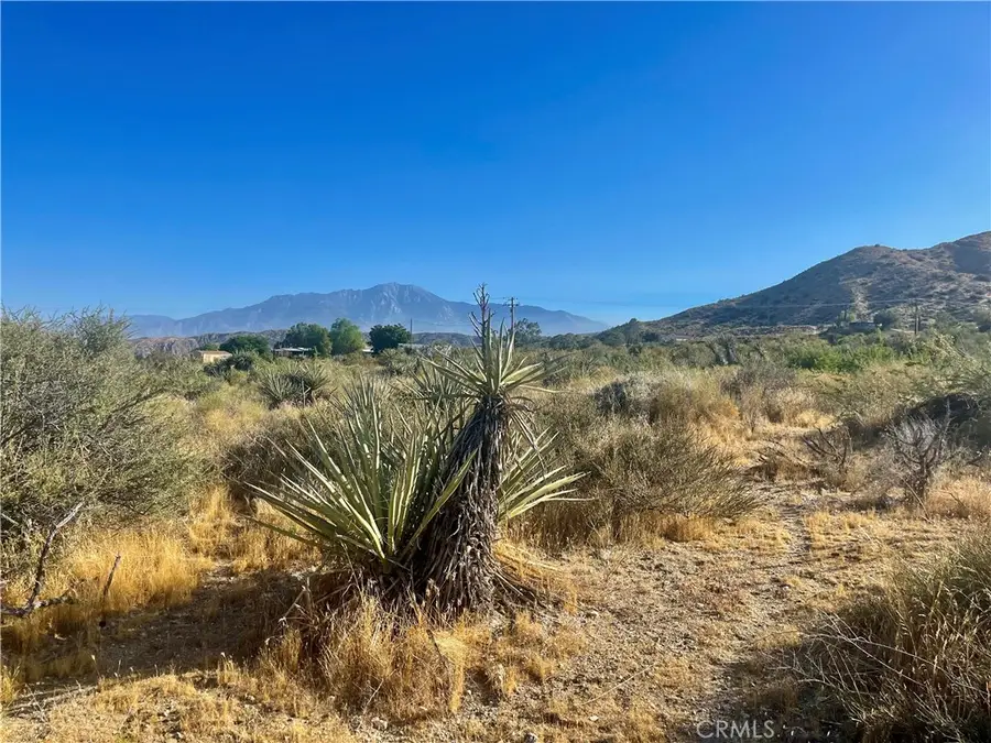 49200 Old Mill Road, Morongo Valley, CA 92256 - Image #3