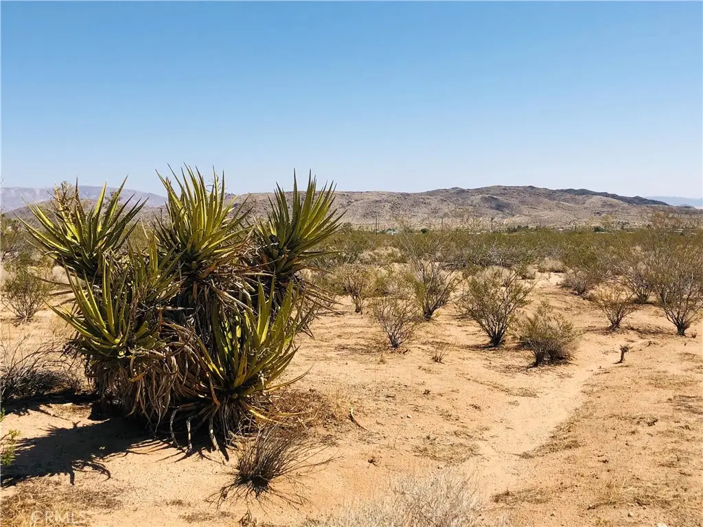 2 Geronimo Trail, Landers, CA 92285 - #1